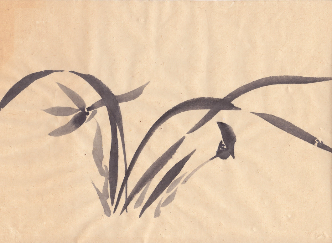 Japanese Spring Orchid Sumie Brush Painting - Greeting Card