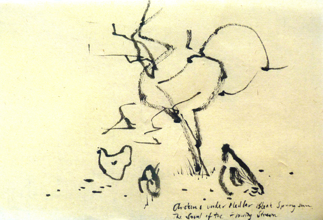 Chickens under Medlar Tree Ink Drawing - Greeting Card