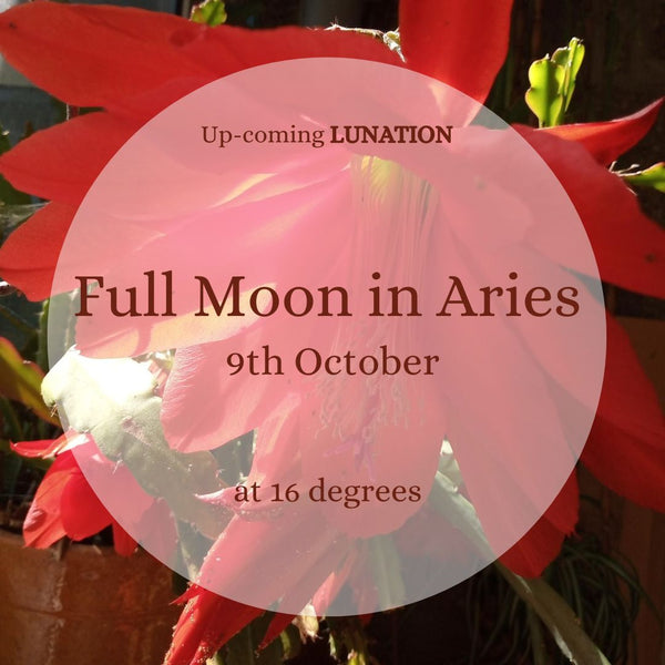 Full Moon in Aries at 16 degrees - A check-in with Self