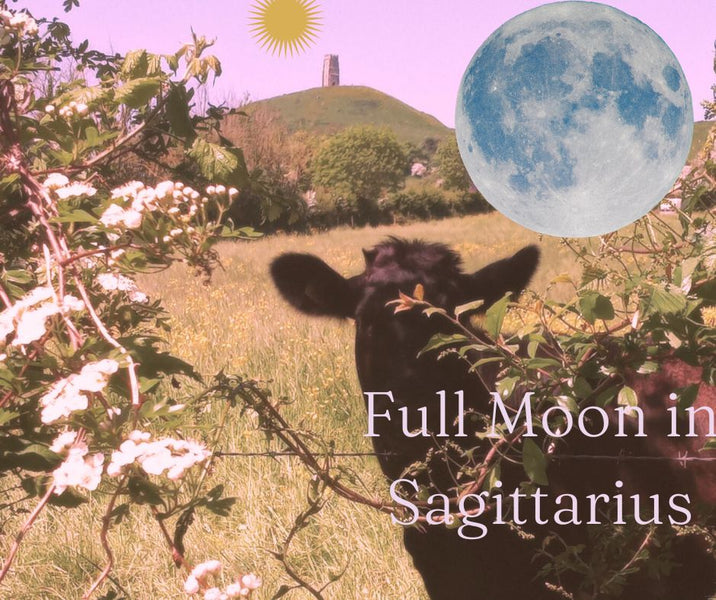 Higher Wisdom of Mother Nature -Full Moon in Sagittarius 4th June