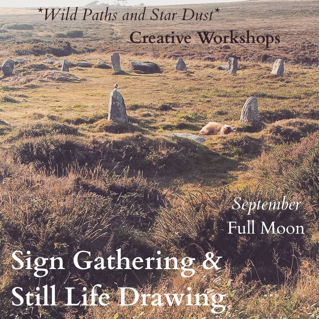 SIGN GATHERING AND STILL LIFE DRAWING @Nine Maidens Stone Circle